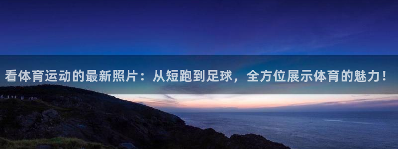 成都金熊猫体育
