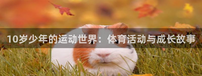熊猫体育：10岁少年的运动世界：体育活动与成长故事