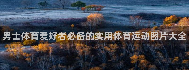 熊猫体育网址：男士体育爱好者必备的实用体育运动图片大全