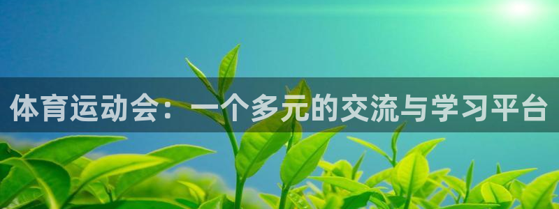 动感熊猫体育公园：体育运动会：一个多元的交流与学习平台
