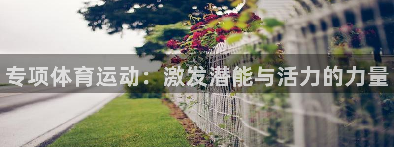 下载熊猫体育：专项体育运动：激发潜能与活力的力量