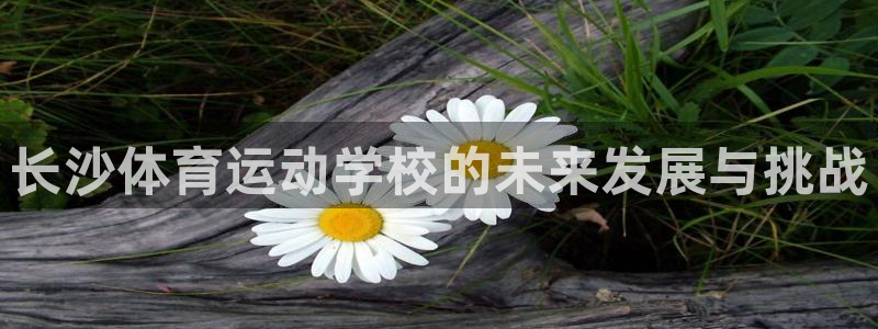 熊猫体育免费下载：长沙体育运动学校的未来发展与挑战