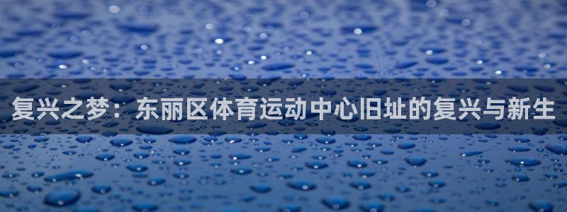 熊猫体育官网：复兴之梦：东丽区体育运动中心旧址的复兴与新生