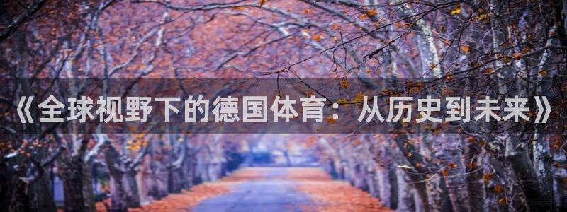 熊猫体育网址：《全球视野下的德国体育：从历史到未来》