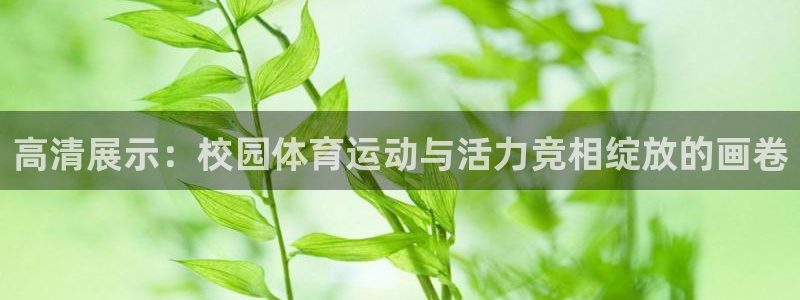 熊猫体育官网：高清展示：校园体育运动与活力竞相绽放的画卷