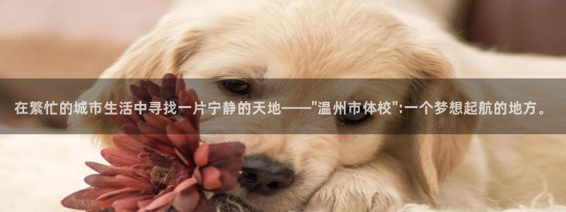 181熊猫体育：在繁忙的城市生活中寻找一片宁静的天地——\