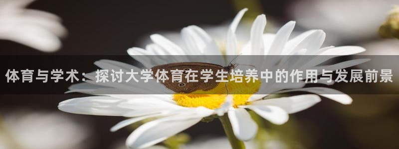 熊猫体育v3.新网页.org：体育与学术：探讨大学体育在学生培养中的作用与发展前景